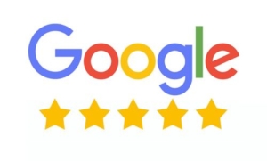 Google Reviews Home
